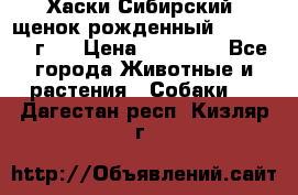 Хаски Сибирский (щенок рожденный 20.03.2017г.) › Цена ­ 25 000 - Все города Животные и растения » Собаки   . Дагестан респ.,Кизляр г.